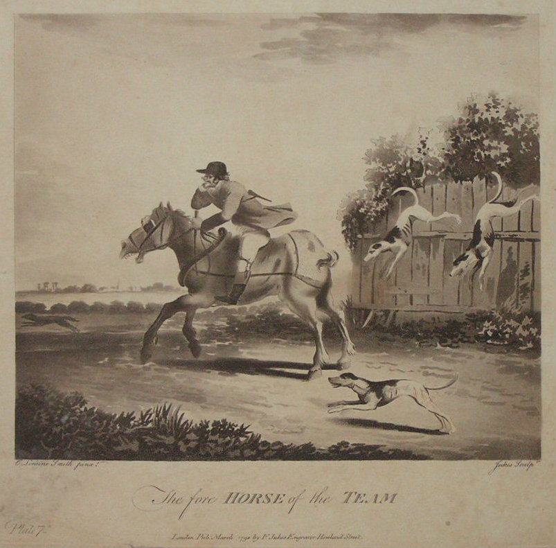 Aquatint - The fore Horse of the Team.  - Jukes